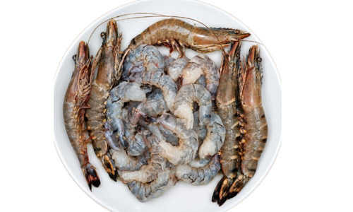tiger-prawn